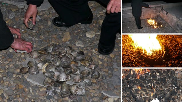 North Korean Clams Cooked with GASOLINE