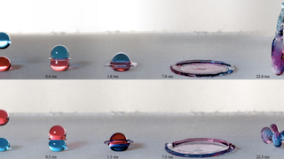 This Is What Happens When Drops of Different Liquid Land on Each Other