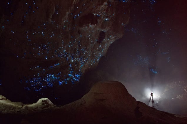 This amazing starry sky is a cave full of glowworms in New Zealand