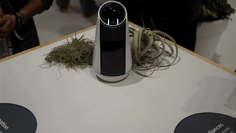 Sony's Latest Concepts Imagine a Creepy Future