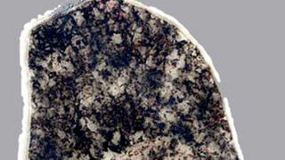 A Bacteria That Hasn't Had To Evolve In More Than Two Billion Years