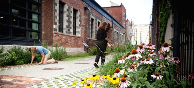 How Alleys Are Becoming Pathways to Urban Revitalization