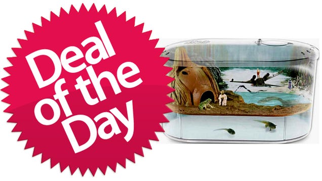 This Star Wars Science Dagobah Frog Habitat Is Your Pet Force-Training Deal of the Day
