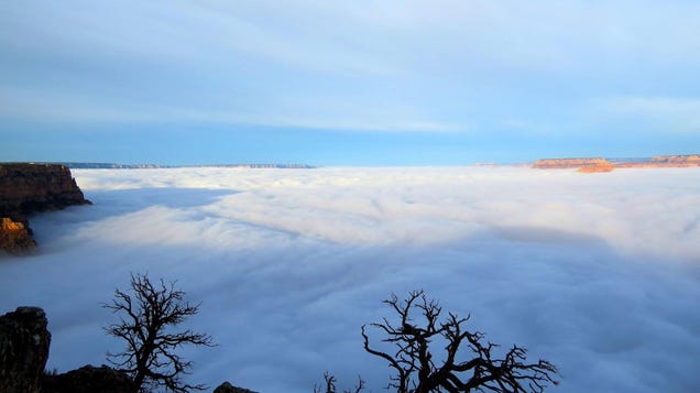 The Grand Canyon Looks Creepy When Filled With Fog