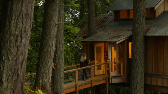 Adults Who Live in Treehouses Aren't as Weird as You Might Think