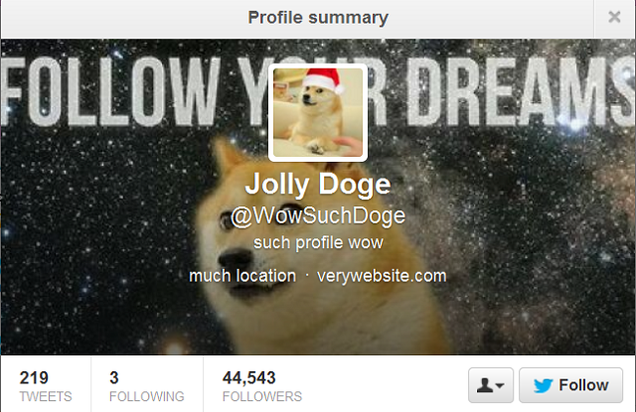 Top 10 Twitter Doges Much Followed