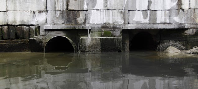 Concrete-Dissolving Bacteria Are Destroying Our Nation&#39;s Sewers