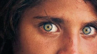 The Best, Most Iconic <em>National Geographic</em> Covers