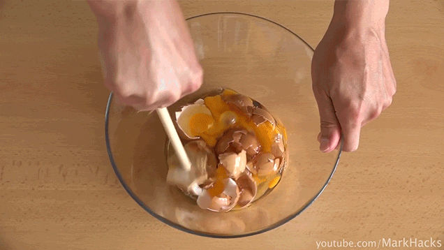 Here's What Life Looks Like In Reverse