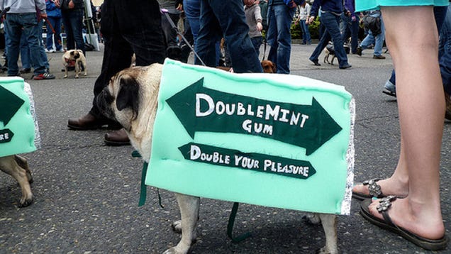 Highlights From "Puglandia," Oregon's Annual Pug Crawl