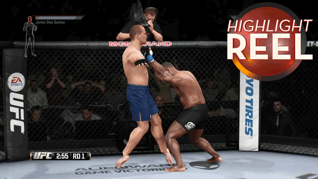 That's Not How Fighting Works, UFC Game��
