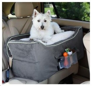 Gifts For Your Dog