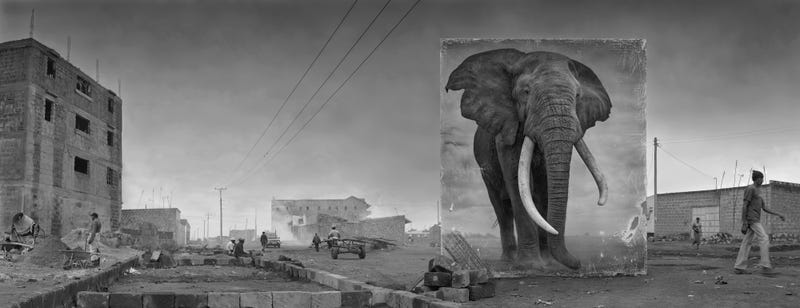Harrowing Photographs Depict East Africa's Dystopian Future
