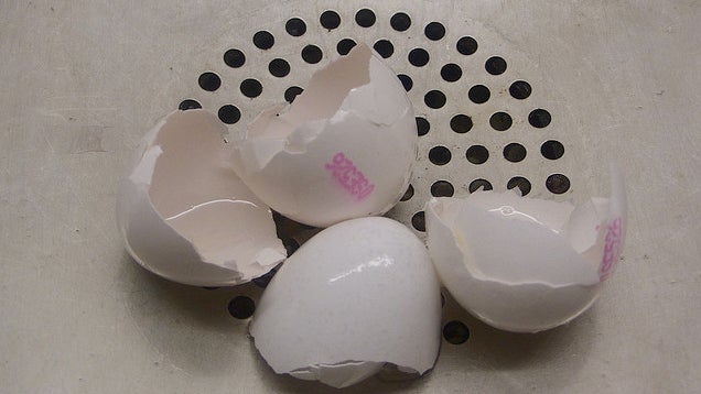 ​Whiten Laundry with Egg Shells