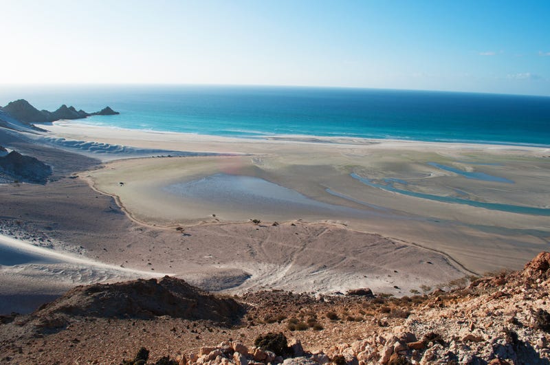Así es Socotra, la isla de las especies perdidas (y muy, muy raras)