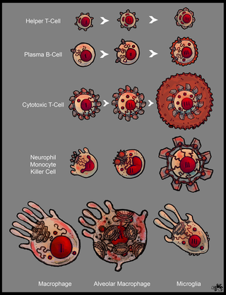 Concept designs of battle-ready pathogens and blood cells would make for a fantastic video game
