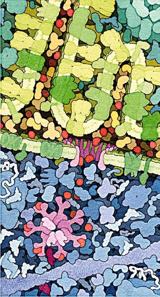 Stunning molecular biology illustrations look like floral abstract art