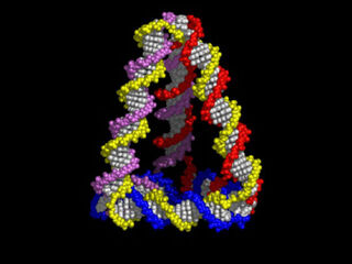 Ten Things You Probably Didn't Know About DNA