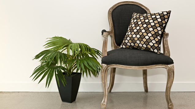 10 Dirt Cheap Ways To Make Your Apartment More Presentable