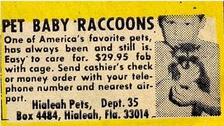 Oobject Comic Book Ads