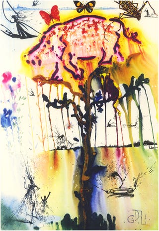 What did Salvador Dalí's Alice in Wonderland look like?