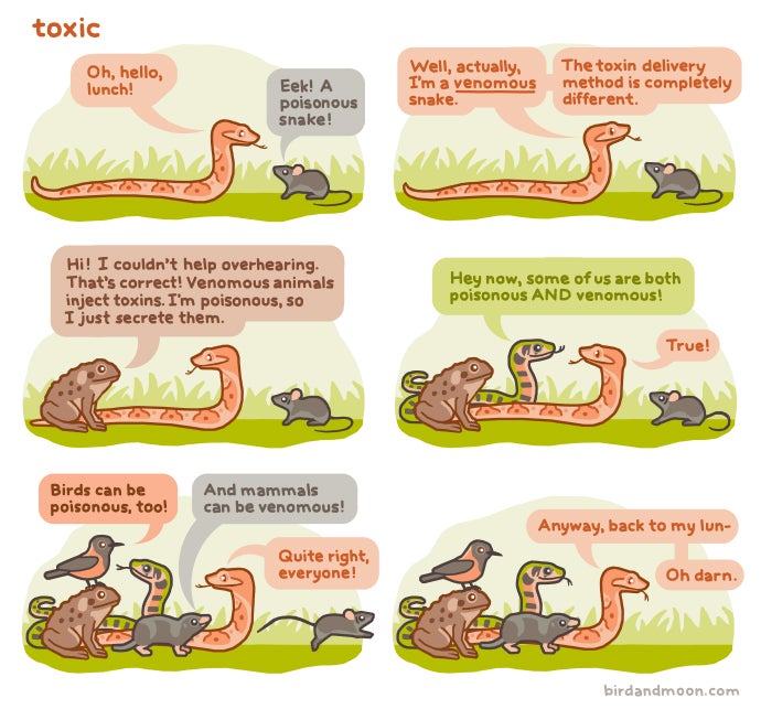 "Venomous" vs "Poisonous," Explained With Adorable Talking Animals