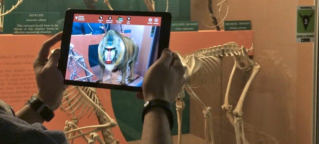 The Smithsonian's New App Brings Museum Skeletons and Fossils To Life