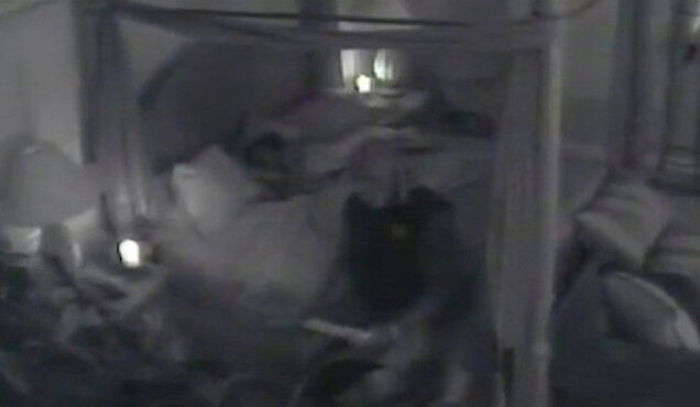 Even for a Minute, Watching Hulk Hogan Have Sex in a Canopy Bed is Not Safe For Work but Watch it Anyway