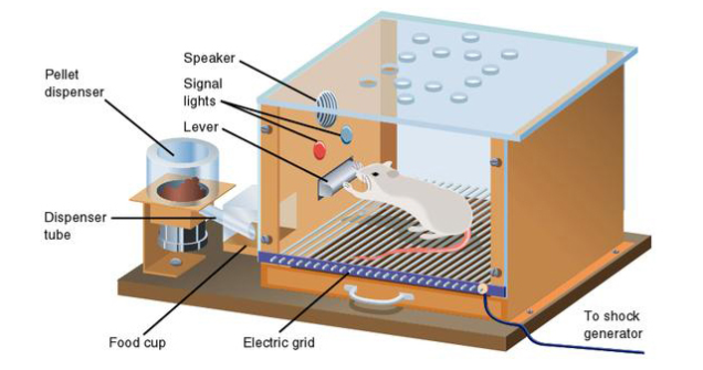 Why B.F. Skinner May Have Been The Most Dangerous Psychologist Ever