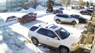 Q: Is This Guy Still Trying to Back Out of a Parking Lot? A: Yes