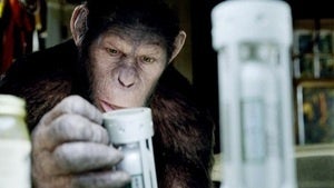 It's Ape Day!