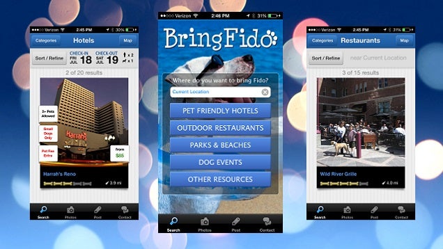BringFido App Finds Pet-Friendly Hotels, Dog Parks, and Restaurants
