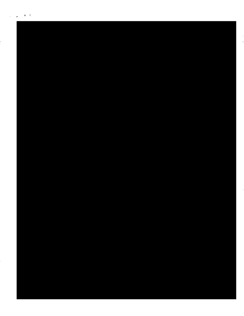 What Do You Think Is in These 73 Straight Pages of Fully Redacted Emails?