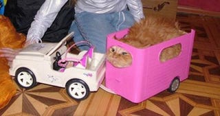 barbie horse trailer