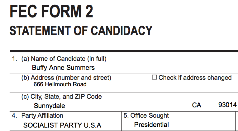 Vote for One of These Underdog Candidates This Election Day