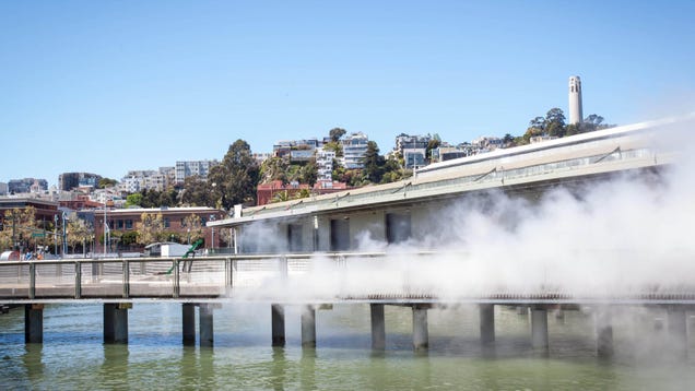 Exploratorium Reborn: Inside San Francisco's New Innovation Shrine
