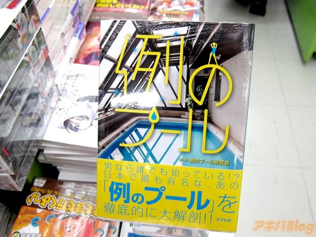 The Most Infamous Swimming Pool in Japanese Pornography