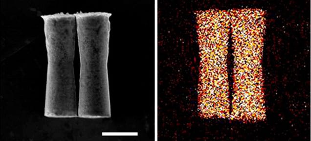 This Ingestible Microbot Is Powered By Stomach Acid 