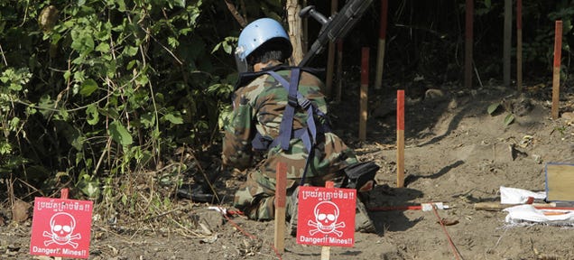 The Newest Weapon in the Fight Against Land Mines Could Be...Plants