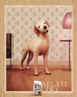 Pooch Will Beej For Food