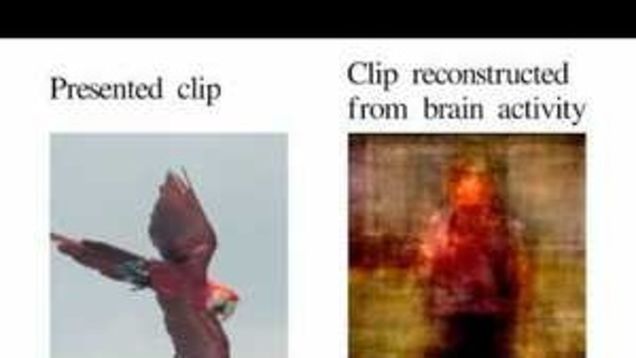 Best of the Week: September 10-September 16, 2011