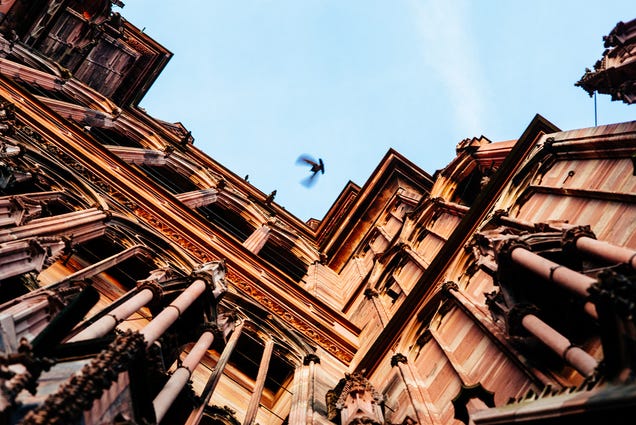 30 Photos Taken Straight Up