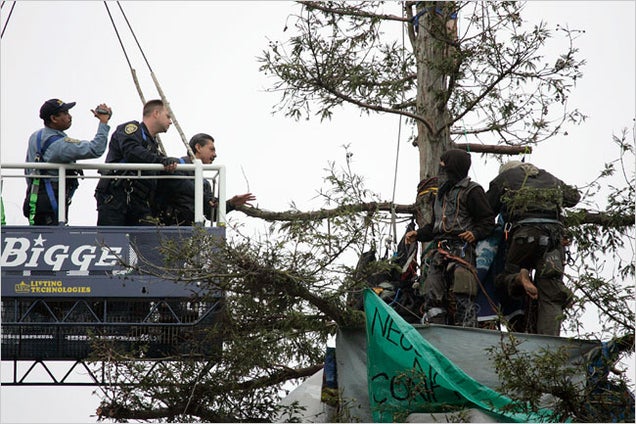 After 21 Months Living in the Trees, Cal-Berkeley Tree Protesters Removed