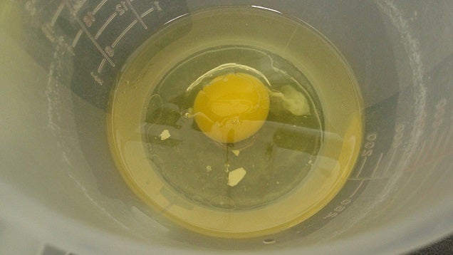 Remove Egg Shells From a