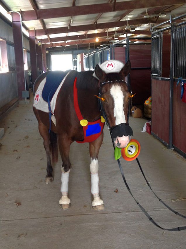 Kotaku 'Shop Contest: Mario Horse: The Winners