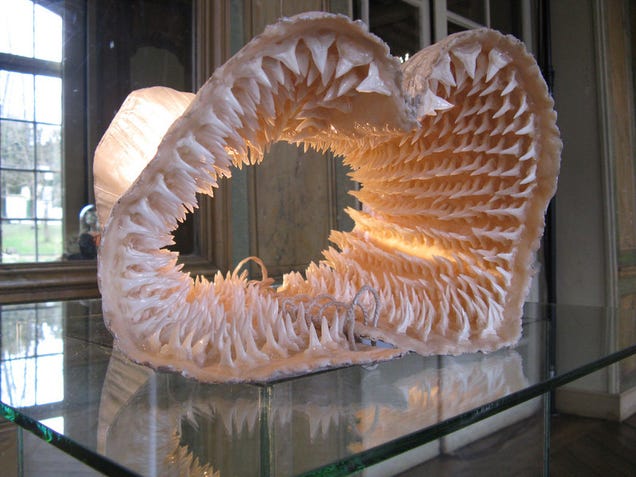 A corset made with hundreds of shark teeth