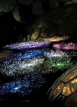 Fiber Optic Sculpture Transforms Field into a Luminous Alien Landscape