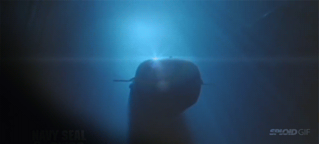 Seeing real US Navy SEALs moving underwater is way cooler than any movie