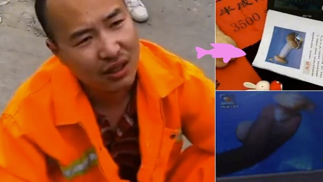 This Man Would Like to Sell You Sex Toys, Er, Mushrooms