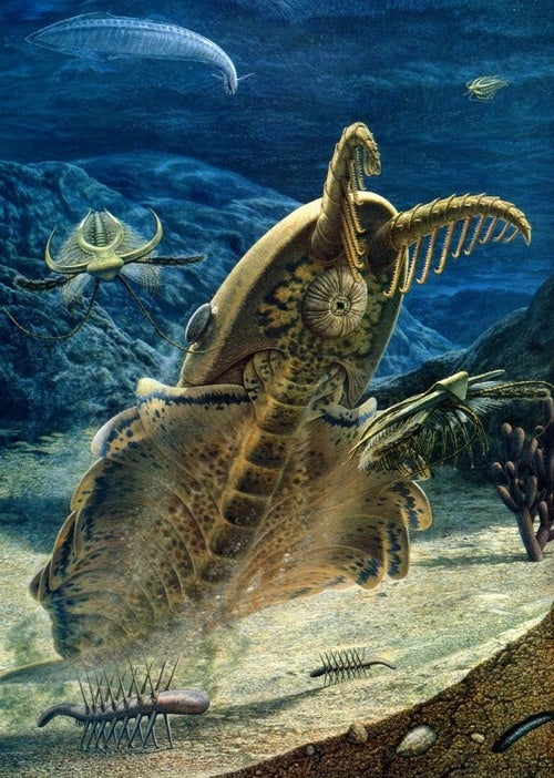 giant-prehistoric-shrimp-had-the-weirdest-mouth-of-the-cambrian-period